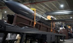 «Сверхмощные ракеты Flamingo Украины»: эксперты предсказали страшные удары вглубь России