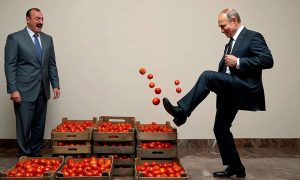 Удар по помидорам Алиева – почему это так больно: Азербайджан в конфликте с Россией рискует сельским хозяйством и сотнями миллиардов рублей