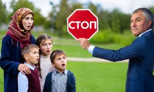 Решение по мигрантам принято: они будут приезжать в Россию без семей - позицию власти озвучил спикер Госдумы Володин