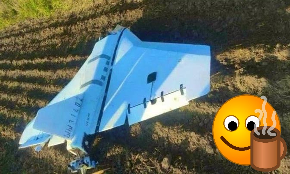 «Расходимся, Польша в порядке»: НАТО проигнорировало истерику Зеленского и отказалось считать инцидент с дронами актом войны 