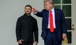 «Россия - бумажный тигр»: Трамп призвал Зеленского захватить территории нашей страны