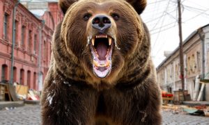 Медведь-людоед устроил охоту на жителей российского города