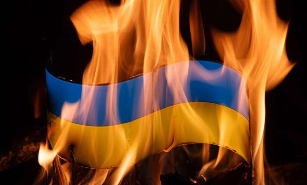 СВО продолжается: Кременские леса усеяны мумиями украинских солдат — потери Украины ошеломляют