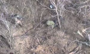 «Все ребята – 200»: бойцы ВС РФ вручную захватили позиции ВСУ и пленили врага