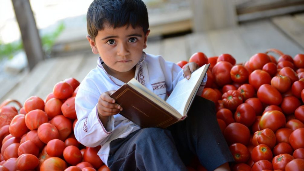Правда вышла наружу: большинство детей мигрантов не знает нашего языка — но нужны ли они вообще в России?