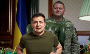 «Схватка за пост фюрера началась»: Залужный активно критикует Зеленского и генералов ВСУ
