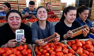 Помидорный плач стоит над Азербайджаном: бизнесмены считают миллиардные убытки и проклинают Алиева