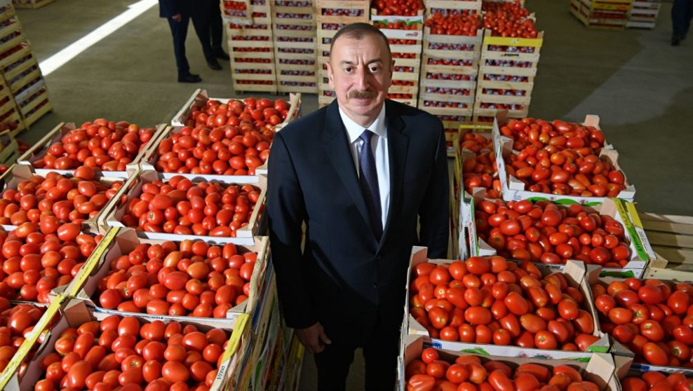 Алиев ведёт Азербайджан к разрыву с Россией. Молодые государства ведут себя как подростки — эксперт