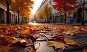 Россия встречает осень: где погода в сентябре удивит даже метеорологов — прогноз Вильфанда