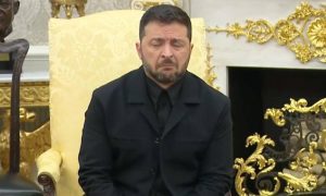 «Уиткофф в ужасе от европейского стада»: Лондон в панике обещает Зеленскому ракеты на фоне провальной встречи «коалиции желающих»