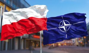 Процесс пошел: в Польше заговорили о применении статьи 4 НАТО после инцидента с дронами