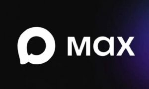 Миф о «цифровом рубильнике»: зачем России нужен МАХ