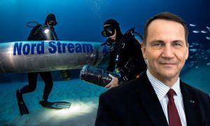 Пшеки щелкнули фрицев по носу: оправдали подрыв «Северных потоков» и отказались выдавать подозреваемого украинца в Германию