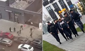 40 мигрантов выкинут из России за драку в Прокшино: этого мало, надо депортировать еще 4000