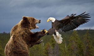 «Мир с Украиной или война с США»: американский военный министр Хегсет пригрозил сделать с Россией «то, что может только Америка»