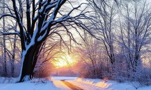 Аномальные холода придут в Россию уже в ноябре: предстоящая зима станет одной из самых суровых за последние 20 лет