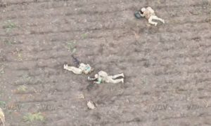 Один против пятерых: дрон заснял видео, как бойцов ВСУ разорвало на части в Новогригоровке