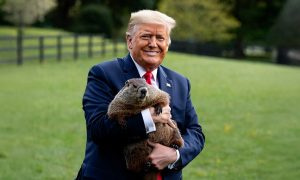 Пока русский Медведь крушит Украину, в США – «День сурка»: Трамп продолжает бесконечно угрожать России, но только выставляет себя посмешищем