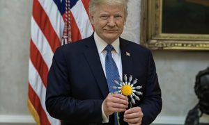 Больно надо: пока Трамп гадает на «томагавках», у Зеленского придумали «ответ»