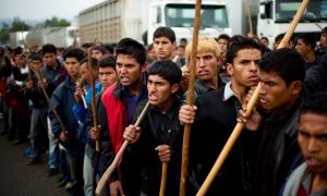 В бой идут диаспоры: депутат Медведев на примере Бразилии показал скрытую часть гибридной войны Запада с Россией