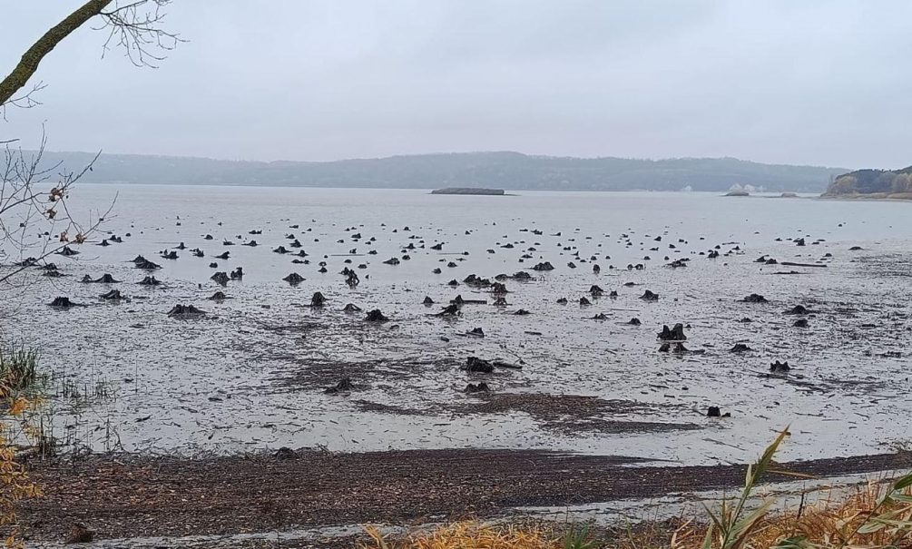 «Побегут до Харькова»: разрушением Белгородской дамбы Сырский может утопить четыре тысячи солдат ВСУ «Побегут до Харькова»: разрушением Белгородской дамбы Сырский может утопить четыре тысячи солдат ВСУ