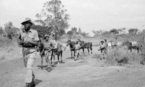 Кровавое солнце над Найроби: как Британия пыталась задушить свободу Кении