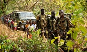 Трамп спровоцировал похищение более двухсот детей из христианских школ Нигерии: так террористы ответили президенту США