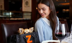 Женщинам с нечистыми в исламе собачками запретят ходить в рестораны и кафе: этого требует депутат Госдумы Нина Останина