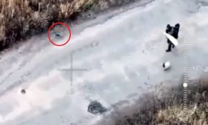 Двум старикам с белым флагом взорвали головы: ВСУ применили ФПВ-дроны по пытавшимся покинуть зону боев под Купянском, заодно убив собачку