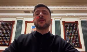 Кокаин выпал у Зеленского из носа прямо во время видеотрансляции: эксперты назвали железобетонное условие прекращения СВО