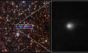 «Гость из бездны»: к Земле летит космический корабль? Астрономы в шоке — они допустили инопланетное происхождение кометы