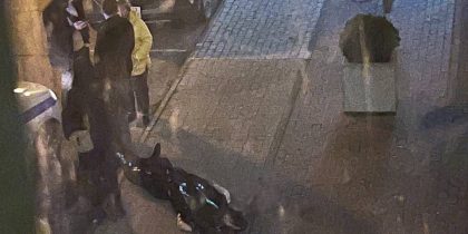 «Душил женщину, искал Марину»: в Подмосковье мигрант-наркоман погиб, выпав с седьмого этажа