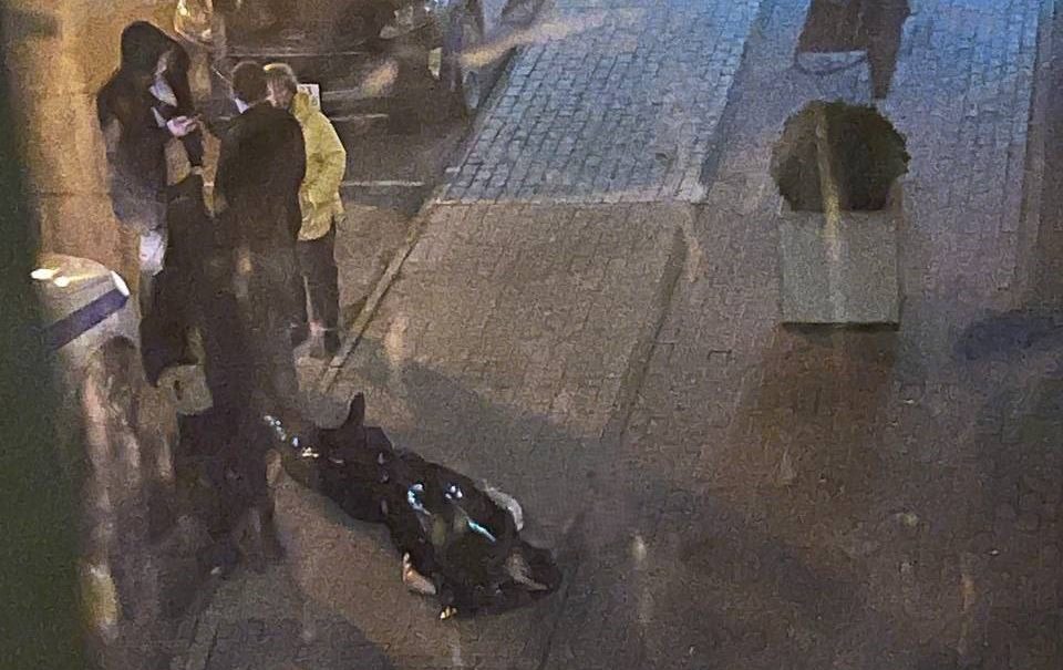 «Душил женщину, искал Марину»: в Подмосковье мигрант-наркоман погиб, выпав с седьмого этажа «Душил женщину, искал Марину»: в Подмосковье мигрант-наркоман погиб, выпав с седьмого этажа