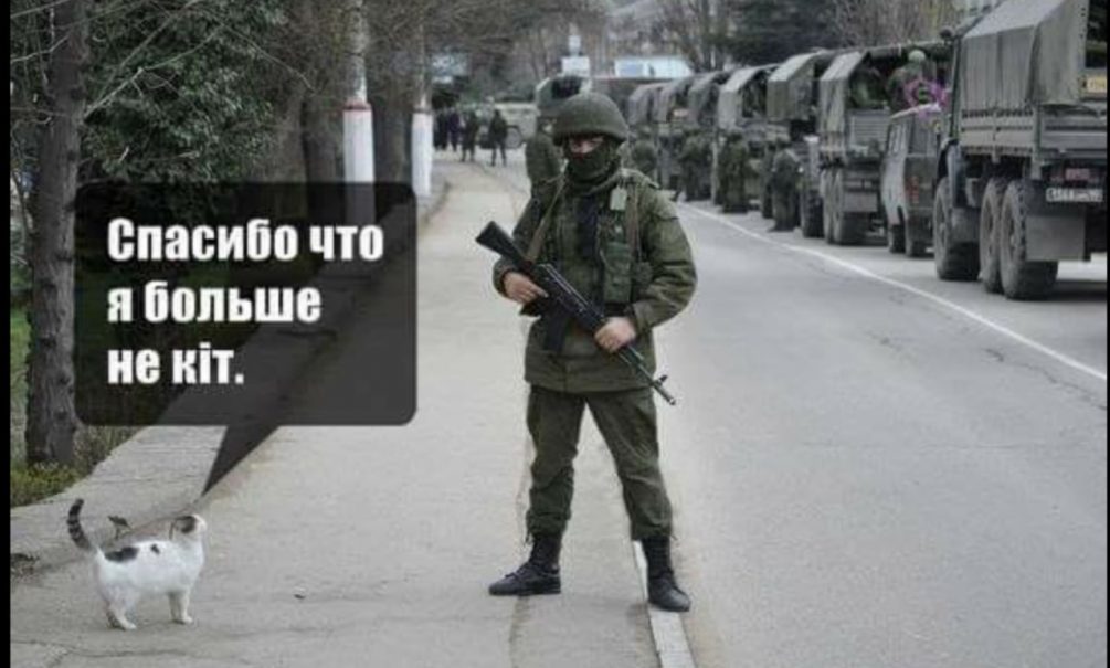 «Запретим кошкам мяукать»: на Украине решили «дерусифицировать» котов «Запретим кошкам мяукать»: на Украине решили «дерусифицировать» котов