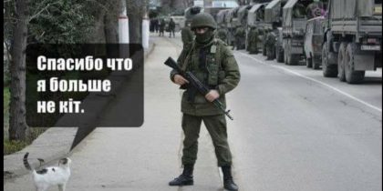 «Запретим кошкам мяукать»: на Украине решили «дерусифицировать» котов