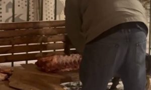 «Где написано, что нам этого делать нельзя»: четверо мигрантов зарубили барана на детской площадке в Москве