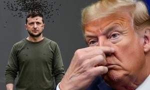 «Просрочка стухла и воняет»: Трамп обрушился на Зеленского, отказывающегося сдавать Донбасс