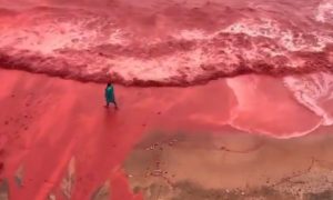 Море стало цвета крови: кадры из Ирана связали с концом света и древними предсказаниями