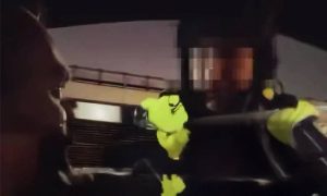 «Нормальная схемка, чтобы к Новому году заработать»: в Москве сотрудник ГИБДД потребовал водителя вбить в поиске слово «трава»