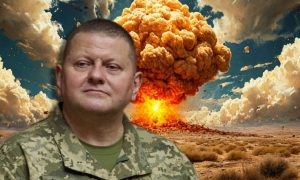 «Обезьяна с гранатой»: Залужный предложил разместить на Украине ядерное оружие. На Западе эти идеи назвали «бредом»