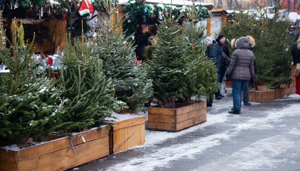 «Елочные клещи» напугали россиян: якобы проснулись на елках из-за теплой зимы