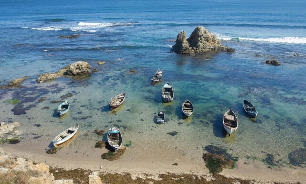 Тревожный сигнал природы: Мраморное море отступило на 20 метров, ученые предупреждают о мощном землетрясении Тревожный сигнал природы: Мраморное море отступило на 20 метров, ученые предупреждают о мощном землетрясении