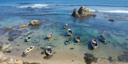 Тревожный сигнал природы: Мраморное море отступило на 20 метров, ученые предупреждают о мощном землетрясении