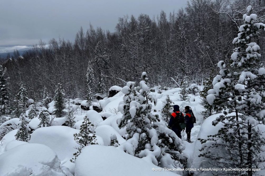 Усольцевы: последние новости об исчезновении — в день пропажи семьи в тайге видели два вертолета