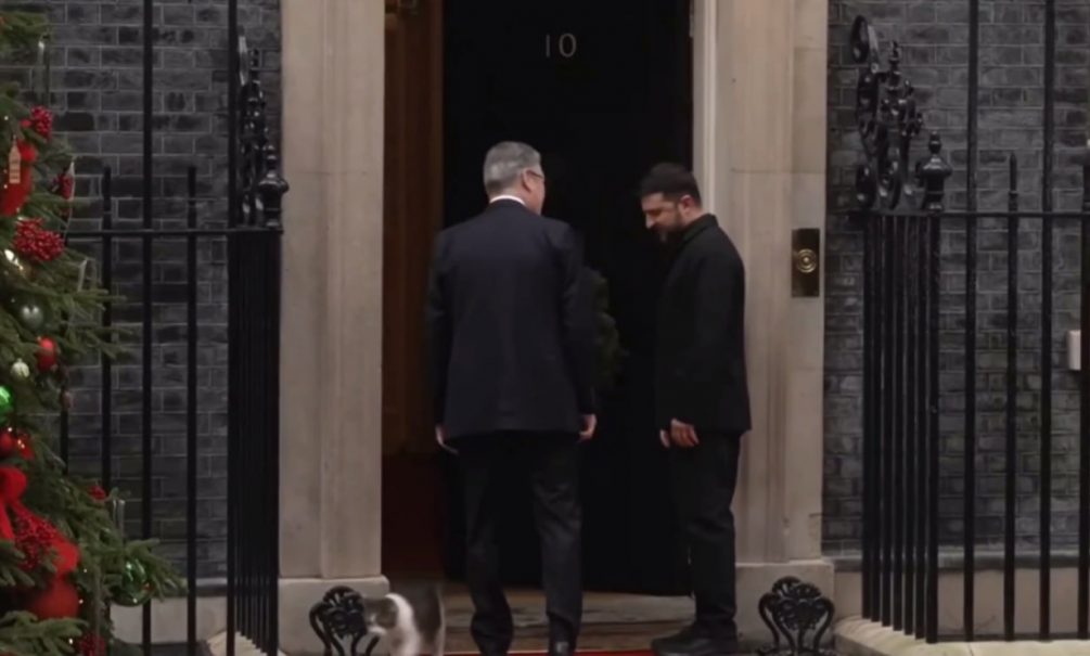 «Ларри испугался, что Зеля отберет его корм»: главный кот Великобритании убежал с Даунинг-стрит, когда на пороге появился Зеленский 