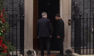 «Ларри испугался, что Зеля отберет его корм»: главный кот Великобритании убежал с Даунинг-стрит, когда на пороге появился Зеленский