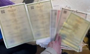 «Родили 600 детей»: цыганки получили от государства более 200 млн рублей, организовав мошенническую схему