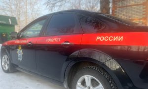 «Вывел на улицу поговорить и зарезал»: в Тыве ученик техникума убил 17-летнего школьника на дискотеке