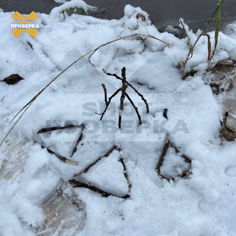 Черное таинство в лесах Рязанской области: на видео попал таинственный обряд – «Блокнот» выяснил, чем занимались загадочные неизвестные в мантиях