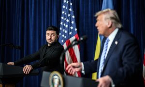 Трамп обвинил Зеленского в отсутствии мира на Украине